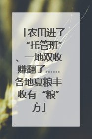 农田进了“托管班”、一地双收赚翻了……各地夏粮丰收有“粮”方