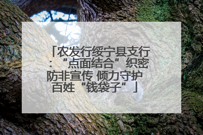 农发行绥宁县支行：“点面结合”织密防非宣传 倾力守护百姓“钱袋子”