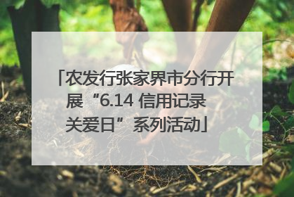 农发行张家界市分行开展“6.14 信用记录关爱日”系列活动