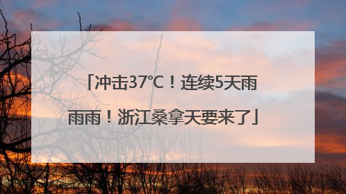 冲击37℃！连续5天雨雨雨！浙江桑拿天要来了