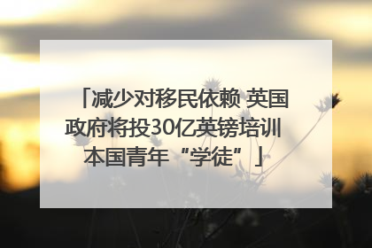 减少对移民依赖 英国政府将投30亿英镑培训本国青年“学徒”