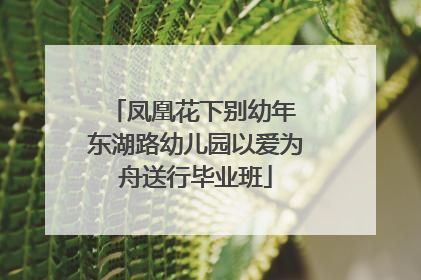 凤凰花下别幼年 东湖路幼儿园以爱为舟送行毕业班