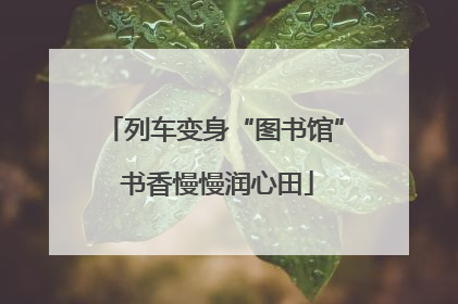 列车变身“图书馆” 书香慢慢润心田