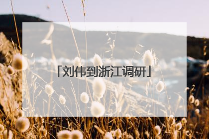 刘伟到浙江调研