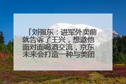 刘强东：进军外卖前就告诉了王兴，想邀他面对面喝酒交流，京东未来会打造一种与美团不同的商业模式