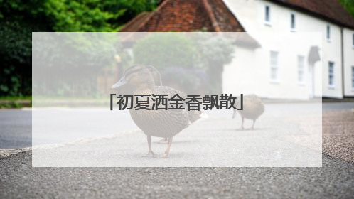 初夏洒金香飘散