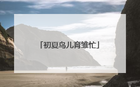 初夏鸟儿育雏忙