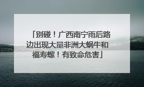 别碰！广西南宁雨后路边出现大量非洲大蜗牛和福寿螺！有致命危害