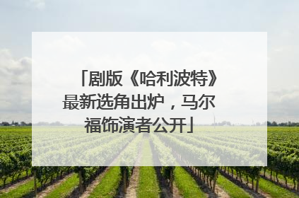 剧版《哈利波特》最新选角出炉，马尔福饰演者公开