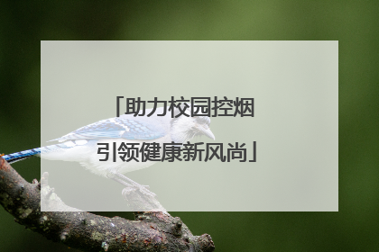 助力校园控烟 引领健康新风尚