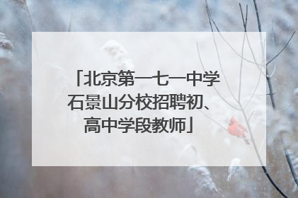 北京第一七一中学石景山分校招聘初、高中学段教师