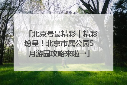 北京号最精彩｜精彩纷呈！北京市属公园5月游园攻略来啦→
