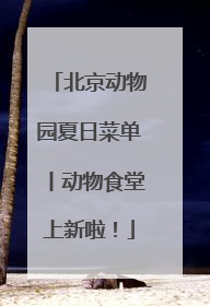 北京动物园夏日菜单丨动物食堂上新啦！