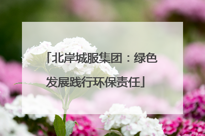 北岸城服集团：绿色发展践行环保责任