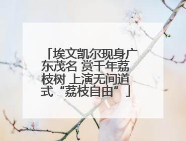 埃文凯尔现身广东茂名 赏千年荔枝树 上演无间道式“荔枝自由”