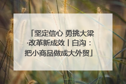 坚定信心 勇挑大梁·改革新成效丨白沟：把小商品做成大外贸