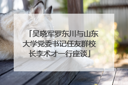 吴晓军罗东川与山东大学党委书记任友群校长李术才一行座谈