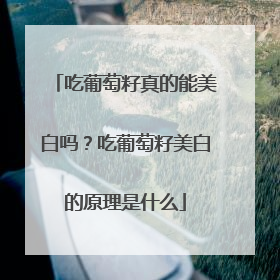 吃葡萄籽真的能美白吗？吃葡萄籽美白的原理是什么