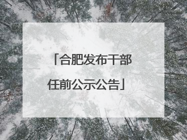 合肥发布干部任前公示公告