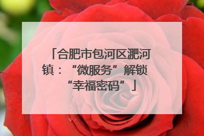 合肥市包河区淝河镇：“微服务”解锁“幸福密码”