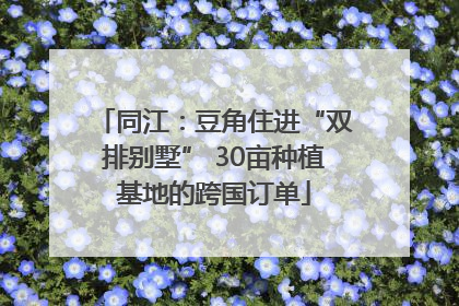 同江：豆角住进“双排别墅” 30亩种植基地的跨国订单