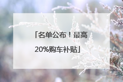 名单公布！最高20%购车补贴