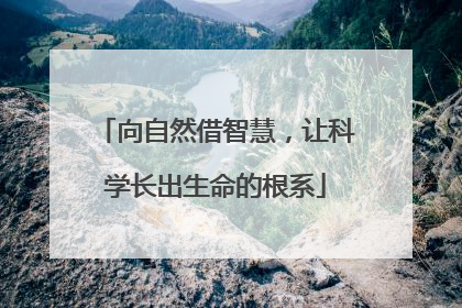 向自然借智慧，让科学长出生命的根系
