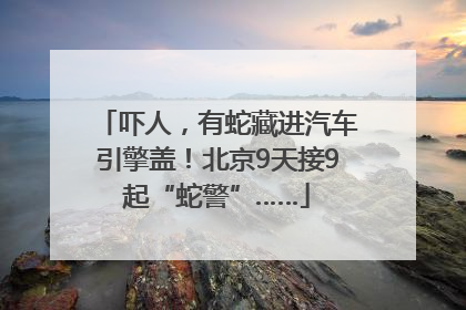 吓人，有蛇藏进汽车引擎盖！北京9天接9起“蛇警”……