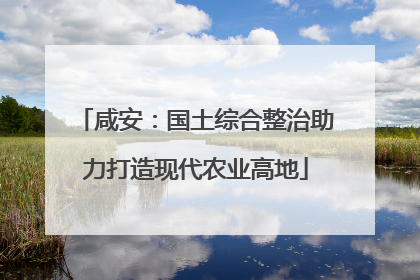 咸安：国土综合整治助力打造现代农业高地