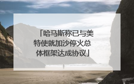 哈马斯称已与美特使就加沙停火总体框架达成协议