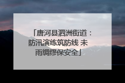 唐河县泗洲街道：防汛演练筑防线 未雨绸缪保安全