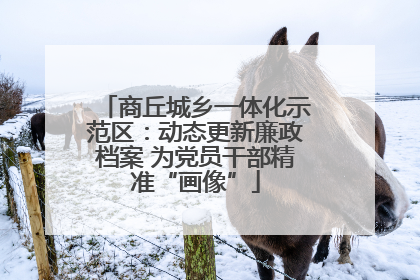 商丘城乡一体化示范区：动态更新廉政档案 为党员干部精准“画像”