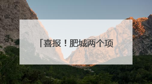 喜报！肥城两个项目入选省级目录