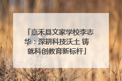 嘉禾县文家学校李志华：深耕科技沃土 铸就科创教育新标杆
