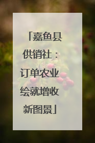 嘉鱼县供销社：订单农业绘就增收新图景