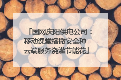 国网庆阳供电公司：移动课堂播撒安全种 云端服务浇灌节能花