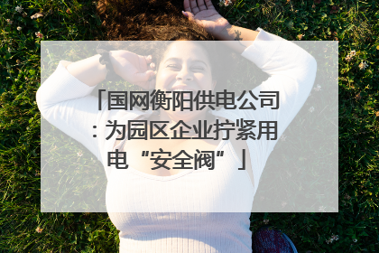 国网衡阳供电公司：为园区企业拧紧用电“安全阀”