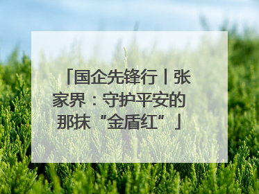 国企先锋行丨张家界：守护平安的那抹“金盾红”
