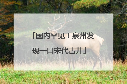 国内罕见！泉州发现一口宋代古井