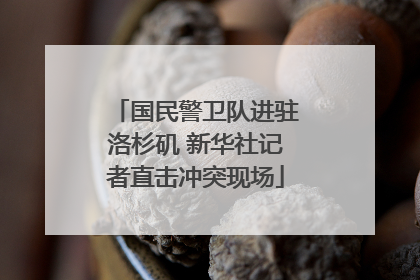 国民警卫队进驻洛杉矶 新华社记者直击冲突现场
