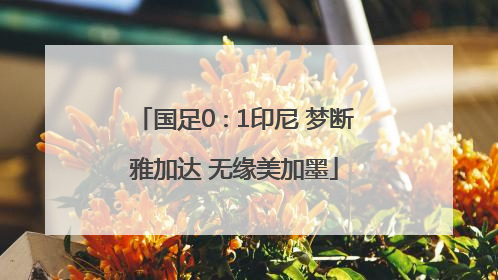 国足0∶1印尼 梦断雅加达 无缘美加墨