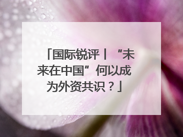 国际锐评丨“未来在中国”何以成为外资共识？