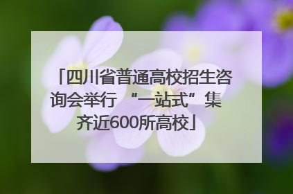 四川省普通高校招生咨询会举行 “一站式”集齐近600所高校
