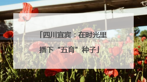 四川宜宾：在时光里播下“五育”种子
