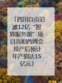 四川自贡沿滩12亿“智算服务器”项目亮相西博会 投产后预计年产值达15亿元