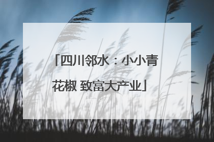 四川邻水：小小青花椒 致富大产业