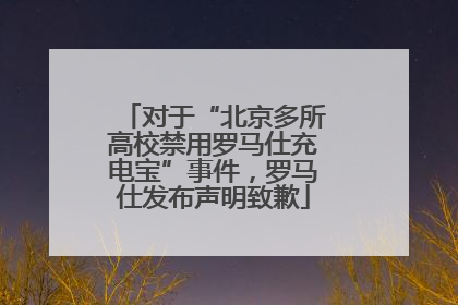 对于“北京多所高校禁用罗马仕充电宝”事件，罗马仕发布声明致歉