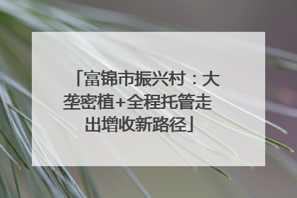 富锦市振兴村：大垄密植+全程托管走出增收新路径