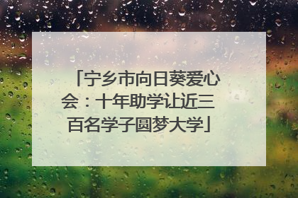 宁乡市向日葵爱心会：十年助学让近三百名学子圆梦大学
