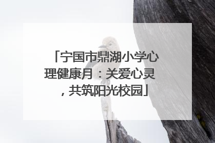 宁国市鼎湖小学心理健康月:关爱心灵,共筑阳光校园